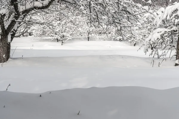 Paisaje invernal en un parque — Foto de Stock