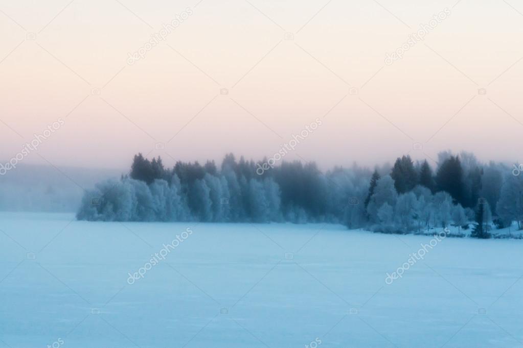 Beautiful vibrant scandinavian foggy winter scene.