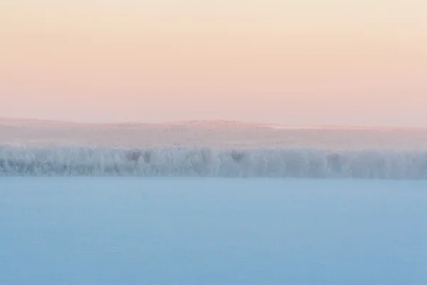 Foggy scena invernale . — Foto Stock