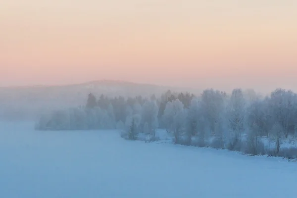 Niebla escena de invierno . — Foto de Stock