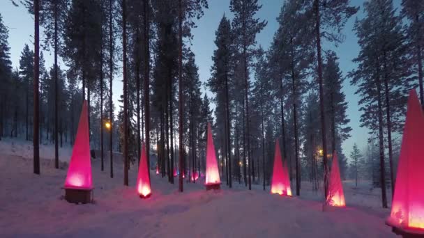 Bosque cerca del parque de Santa: Escena de invierno con linternas, Time-lapse — Vídeo de stock