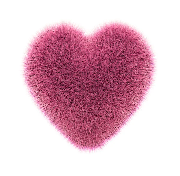 Růžové, infračervené pichlavý srdce, izolovaných na bílém — Stock fotografie