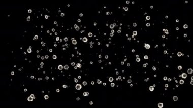 mikroplar veya bakteri mikroskop altında