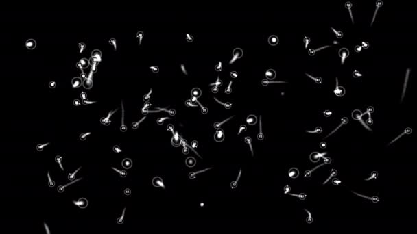 Microbios o bacterias bajo el microscopio — Vídeo de stock