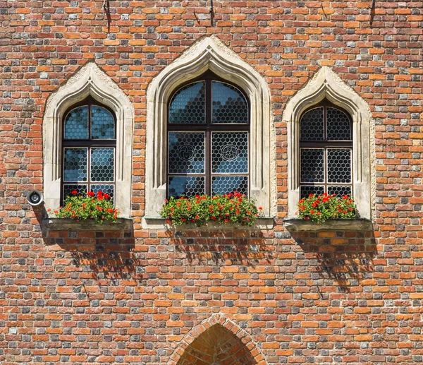 Szczegóły dotyczące architektury gotyckiej. Ładne okna. — Zdjęcie stockowe