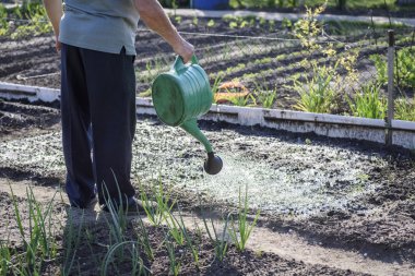 sulama tesisleri - bahçe bakımı