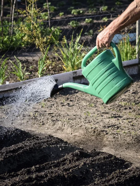 sulama tesisleri - bahçe bakımı