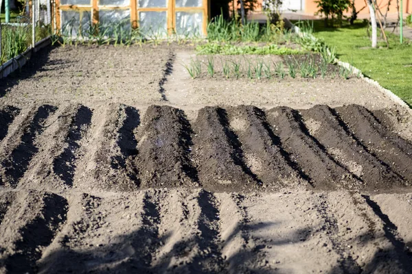 taze sulu bahçenizi bahçede yer