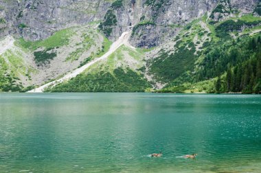 Tatra dağlarındaki Deniz Gölünün Gözü