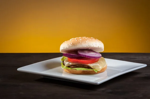 Hamburger plaka üzerinde — Stok fotoğraf