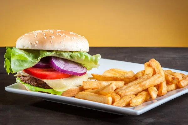 Hamburger plaka üzerinde — Stok fotoğraf
