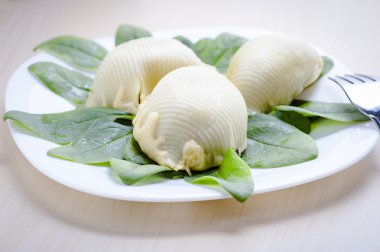 makarna salyangoz kabukları 