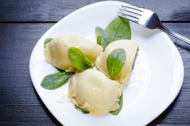 makarna salyangoz kabukları 