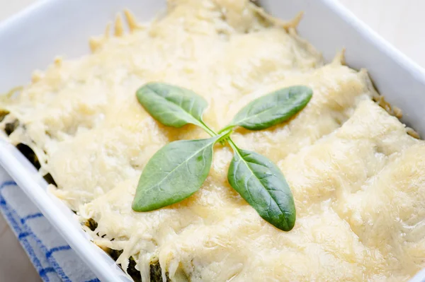 Canelones recheados com queijo feta e espinafre — Fotografia de Stock