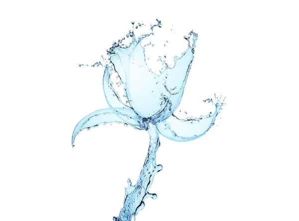 Bir çiçek şeklinde su sıçrama — Stok fotoğraf