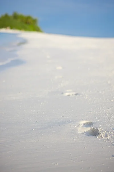 Footprints on the beach — Stock Photo, Image