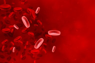 Kırmızı kan hücreleri - insan bağışıklık sistemi
