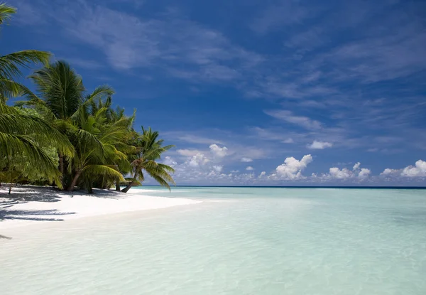 Strandparadies auf den Malediven — Stockfoto