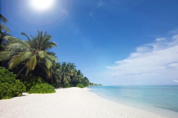 Oceaan kust landschap — Stockfoto