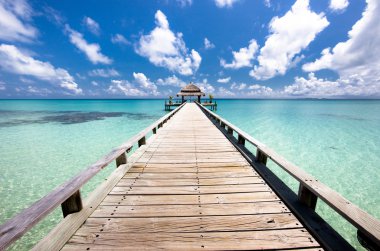 Hint Okyanusu'nda delip