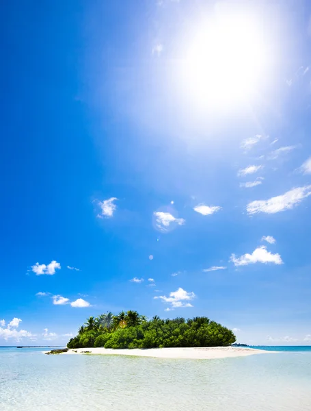 Tropisch strand in de Indische Oceaan — Stockfoto