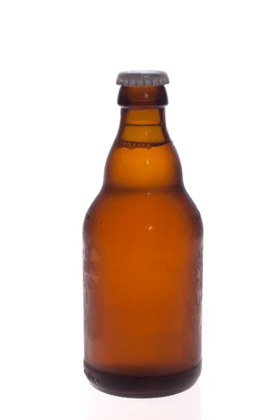 Beer bottle Stock Image