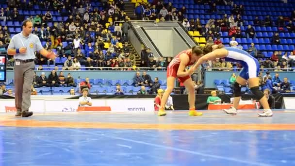 Wrestling tournament in Kiev, Ukraine. (86422) — Stock Video