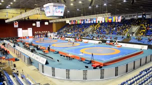 Sport arena during International GR&FW&FS wrestling tournament in Kiev, Ukraine. — Stock Video