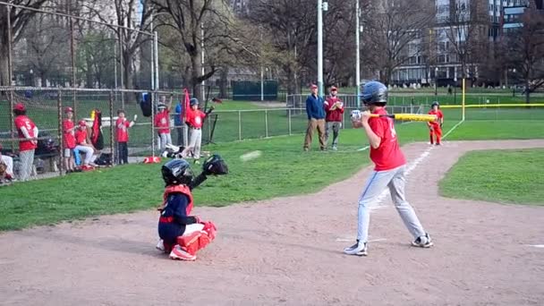 Dzieci w baseball w Boston Public Garden w Bostonie, Massachusetts, Stany Zjednoczone Ameryki. — Wideo stockowe