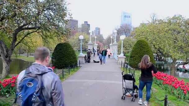 Boston Public Garden Boston, Massachusetts, ABD. — Stok video