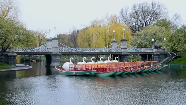 Schwanenboote im Teich des öffentlichen Gartens von Boston am 26. April 2016 in Boston, USA. — Stockvideo
