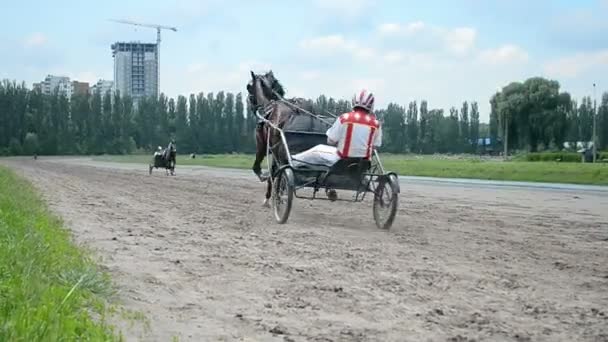 Horse racetrack under Kievs city firandet i Kiev, Ukraina. — Stockvideo