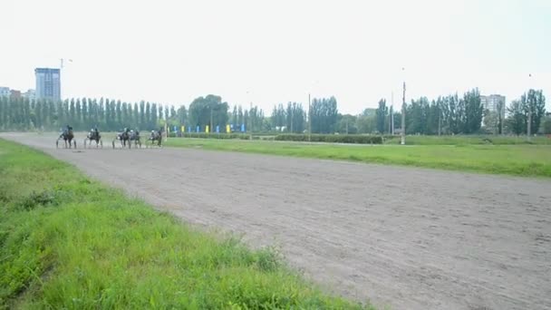 Horse racetrack under Kievs city firandet i Kiev, Ukraina. — Stockvideo