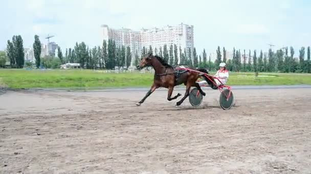 Tor wyścigów konnych w Kijów celebracja dzień w Kijowie. — Wideo stockowe