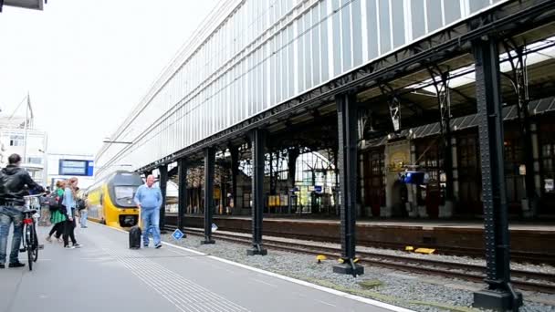 Поїзд, що прибувають до залізничного вокзалу Гарлема, Нідерланди. — стокове відео