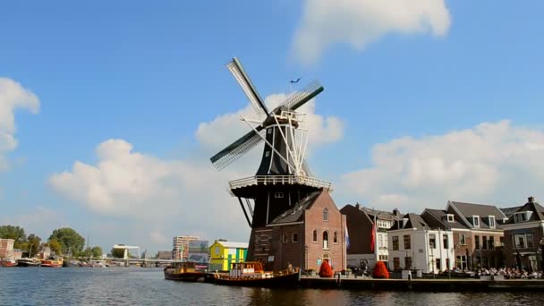 Moinhos em Haarlem, Países Bajos . — Vídeo de Stock