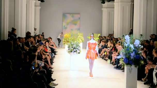 Oekraïense fashionweek 2014 (Andre Tan) in Kiev, Oekraïne. — Stockvideo