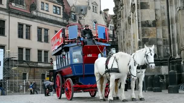 Transporte de cavalos na rua em Dresden, Alemanha (37044 ) — Vídeo de Stock