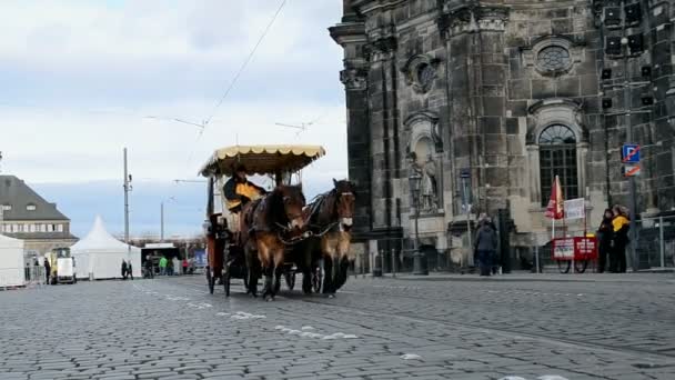 Transporte de caballos en Dresde, Alemania . — Vídeo de stock