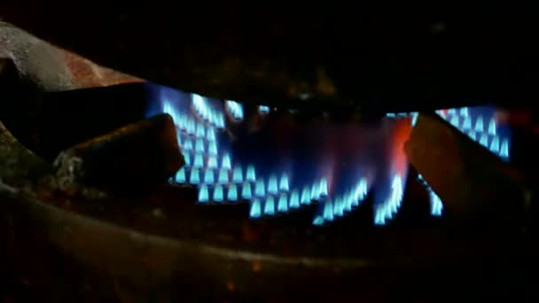 Blaues Feuer in Nahaufnahme, Gas in der Küche, Stromvielfalt, — Stockvideo