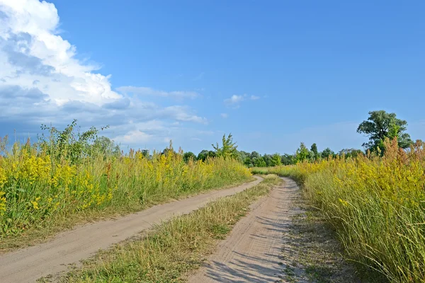 Estrada de ziguezague terrestre no prado, céu azul com nuvens brancas . — Fotografia de Stock