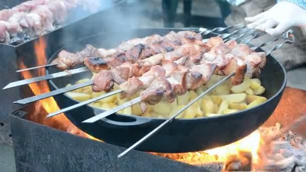 Kebab (shashlik) bajo fuego, barbacoa con deliciosa carne fresca a la parrilla . — Vídeos de Stock