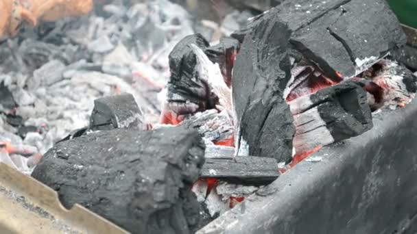Carbons closeup under fire, environment. — Stok video