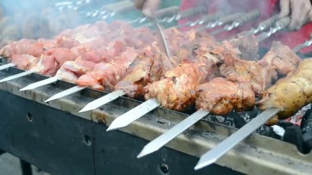 Shashlik (kebab) under fire, barbecue with delicious fresh grilled meat on grill. — Stock Video