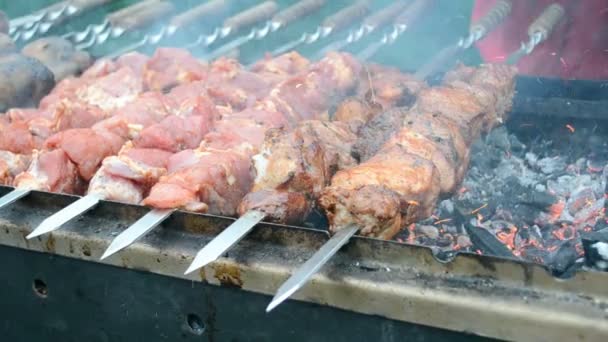 Shashlik (kebab) under fire, barbecue with delicious fresh grilled meat on grill. — Stock Video