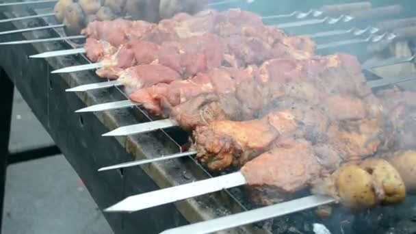 Shashlik (kebab) onder vuur, barbecue met heerlijk vers gegrilde vlees op de grill. — Stockvideo