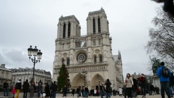 Katedrála Notre Dame (Aka katedrály Notre Dame de Paris), vánoční strom, Paříž, Francie. — Stock video