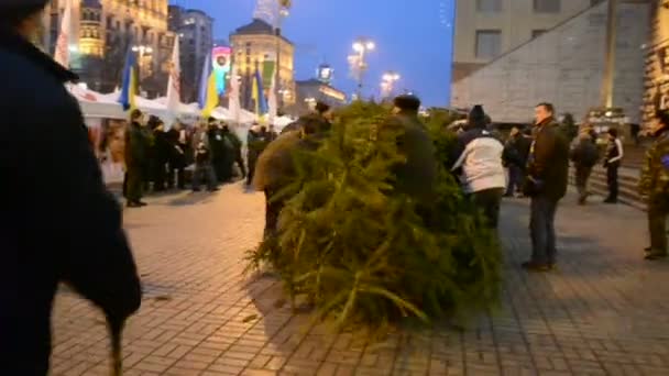 Pine-tree, Kiev State City Administration, Euro maidan meeting in Kiev, Ukraine. (35843) — Stock Video