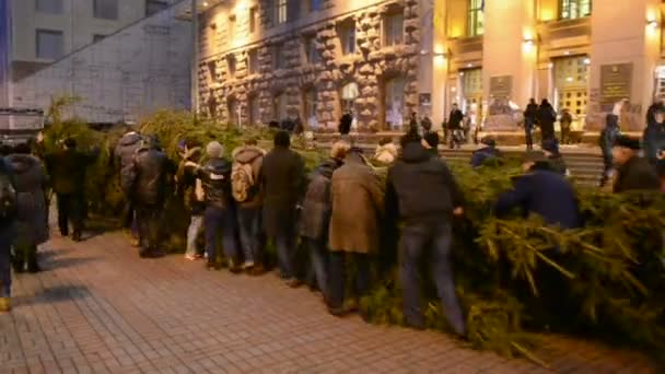 Pine-tree, Kiev State City Administration, Euro maidan meeting in Kiev, Ukraine. (35842) — Stock Video