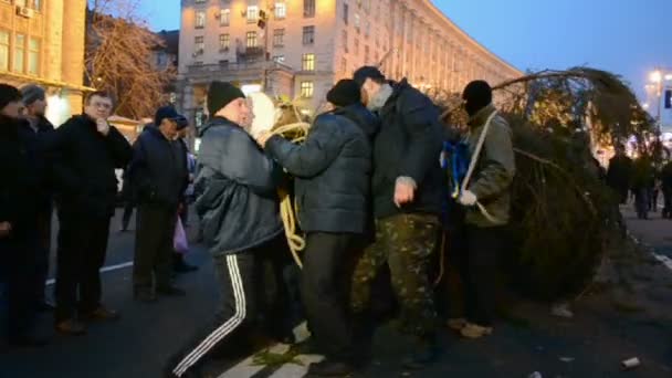 Kiefer-Baum, Kiewer Stadtverwaltung, Euro-Maidan-Treffen in Kiev, Ukraine. (35833) — Stockvideo